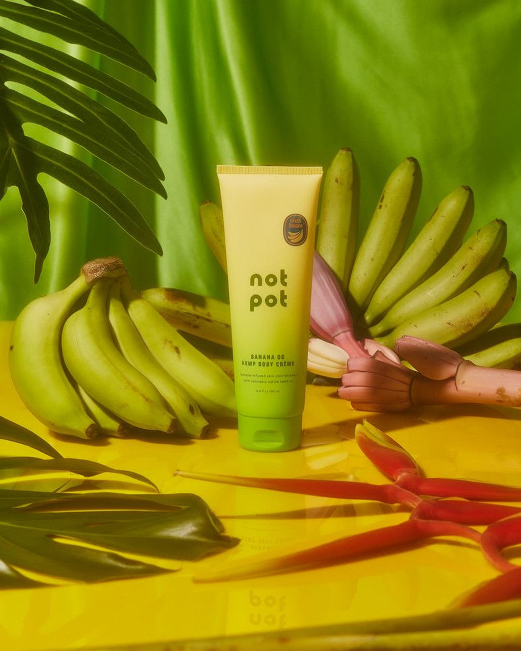 Tube of Not pot Bannana lotion sitting on table surrounded by bananas